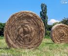 Deux grosses balles de paille dans le champ par une journée ensoleillée