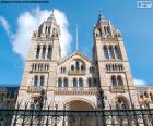 Musée d'histoire naturelle de Londres