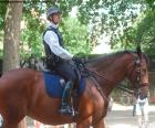 Police de Londres à cheval