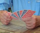 Un homme avec ses cartes dans sa main pendant une partie de cartes