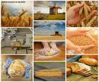 Collage de pain