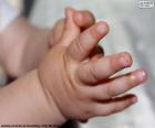 Les mains délicates d’un bébé de 3 mois vient la découverte des mains