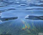 Image des eaux calmes d’un lac