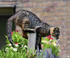 Chat sur une clôture