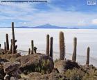 Le salar d’Uyuni est que le plus grand désert de sel du monde situé à 3650 mètres au-dessus du niveau de la mer, avec une surface de 10582 km², Bolivie