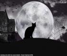 Nuit d’Halloween