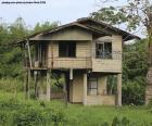 Vieille maison dans la forêt