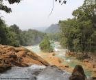 Cascades de Agua Azul, Mexique