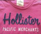 Hollister T-Shirt