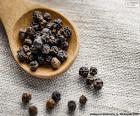 Le poivre noir est sans doute l’épice la plus utilisée dans le monde
