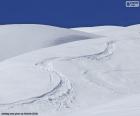 Traces de ski dans la neige