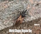 Journée mondiale de la maladie de Chagas