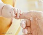 Bébé ramassant le doigt de son père