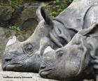 Deux rhinocéros au repos