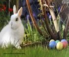 Lapin blanc et œufs de Pâques