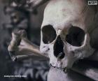 Crâne d’Halloween