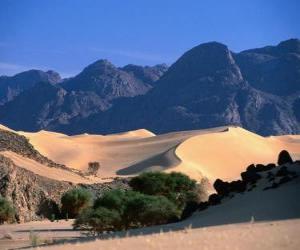 Puzzle Réserves naturelles de l'Aïr et du Ténéré, au Niger