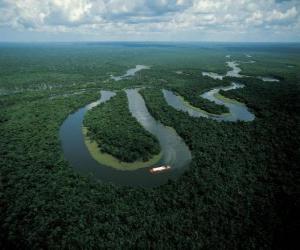 Puzzle Rio Amazonas, dans le Complexe de conservation de l'Amazonie centrale, Brésil