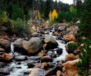 Puzzle Rivière de montagne