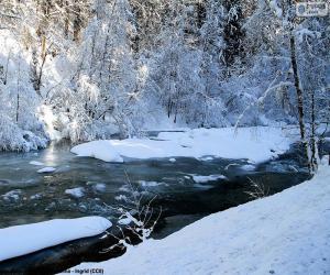 Puzzle Rivière en hiver