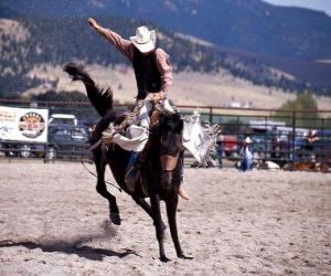 Puzzle Rodeo - Cavalier dans la preuve du cheval de selle, un cheval sauvage