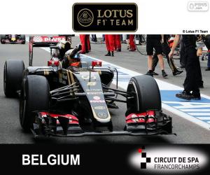 Puzzle Romain Grosjean, GP Belgique 2015