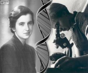Puzzle Rosalind Franklin (1920-1958), pionnier dans la recherche de l'ADN