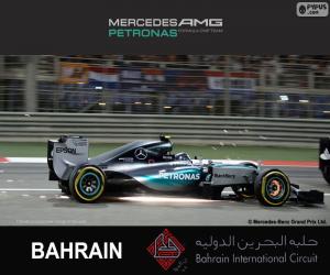 Puzzle Rosberg G.P. Bahreïn 2015