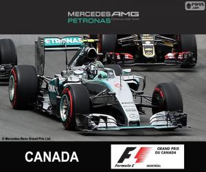 Puzzle Rosberg G.P. Canada 2015