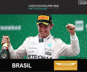 Puzzle Rosberg G.P du Brésil 2015