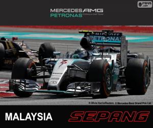 Puzzle Rosberg G.P. Malaisie 2015