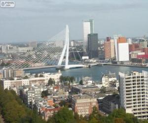 Puzzle Rotterdam, Pays-Bas