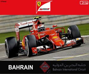 Puzzle Räikkönen G.P. Bahreïn 2015