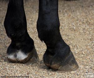 Puzzle Sabots de cheval