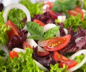 Puzzle Salade