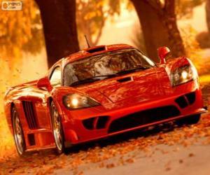 Puzzle Saleen S7 Twin Turbo