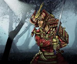 Puzzle Samurai avec la robe traditionnelle