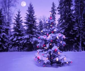 Puzzle Sapins de Noël dans un paysage enneigé avec la lune dans le ciel