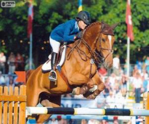 Puzzle Saut d'obstacles. Le cavalier et le cheval dans un saut