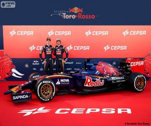 Puzzle Scuderia Toro Rosso 2015