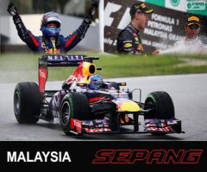 Puzzle Sebastian Vettel célèbre sa victoire dans le Grand Prix de Malaisie 2013
