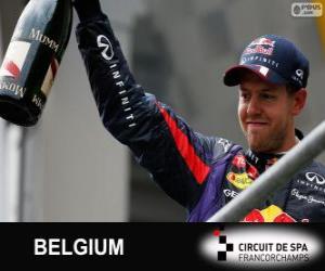 Puzzle Sebastian Vettel célèbre sa victoire dans le Grand Prix de Belgique 2013