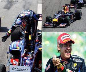 Puzzle Sebastian Vettel fête sa victoire à la Grand Prix du Brésil (2010)