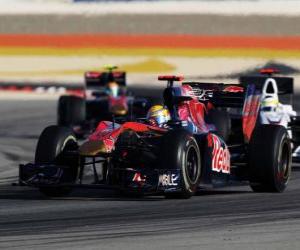Puzzle Sébastien Buemi - Toro Rosso - Bahreïn 2010