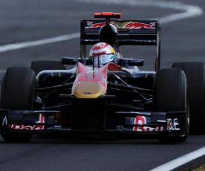 Puzzle Sébastien Buemi - Toro Rosso - Hungaroring 2010