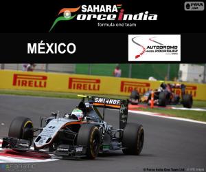 Puzzle Sergio Perez, GP Mexique 2016