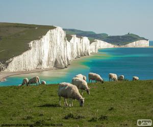 Puzzle Seven Sisters, Angleterre