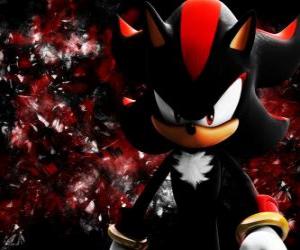 Puzzle Shadow est un hérisson comme Sonic, et son rival