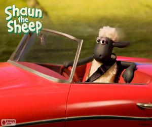 Puzzle Shaun conduire une voiture