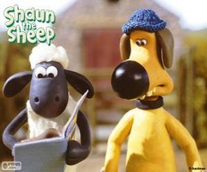 Puzzle Shaun et Bitzer